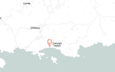 Yalı Koru Eko-Turizm