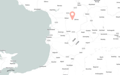 40 Dönüm Arazi, Taş Ev ve Endüstriyel Altyapılı Ceviz Üretimi